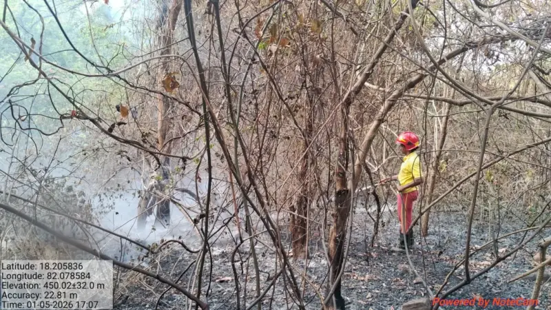 Over A Dozen States Affected By Forest Fire In India Amid Heatwave, Here's How