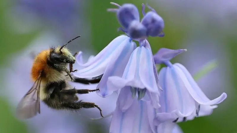 News in Pics | April 10, 2026: Best photos from around the world