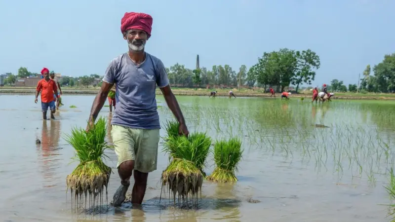 Farmer suicides drop in Karnataka due to guarantees, friendly schemes