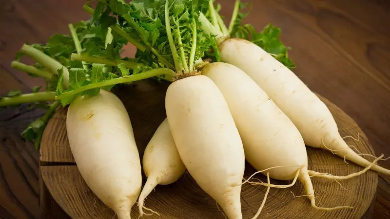 முள்ளங்கியில் மறைந்திருக்கும்  பலரும் அறியாத மருத்துவ பயன்கள்...