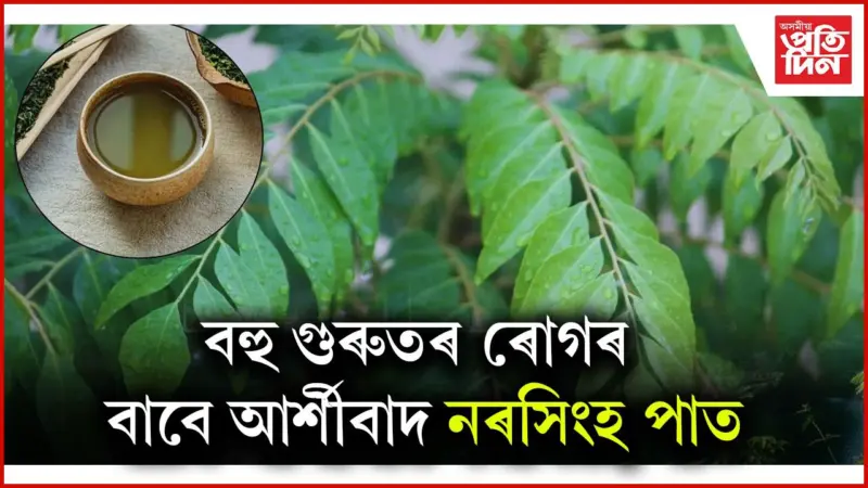 প্ৰতিদিনে ঔষধ খাব নালাগে, খাওক নৰসিংহ পাত