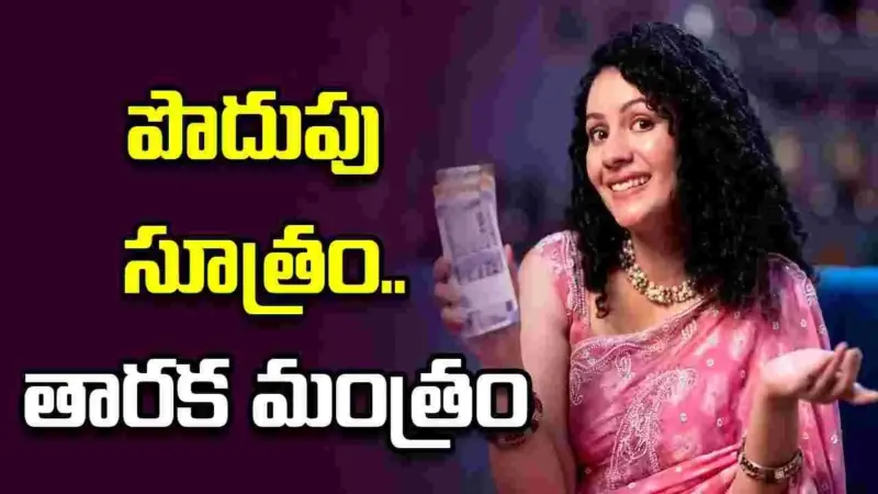పొదుపు సూత్రం.. తారక మంత్రం