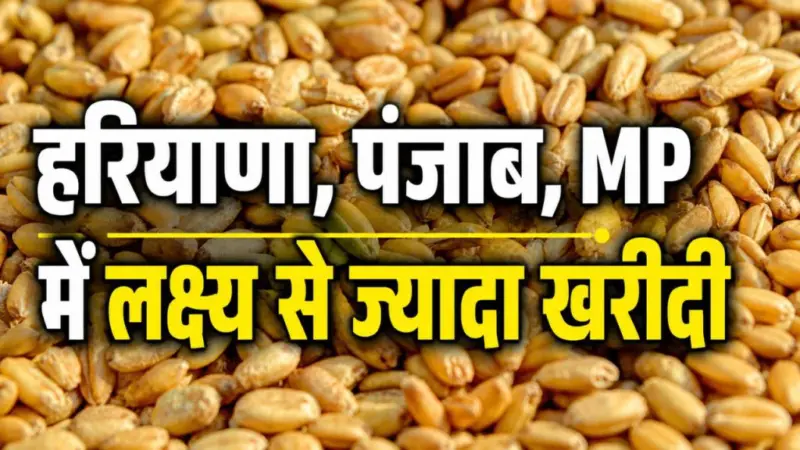 गेहूं खरीदी में 17 फीसदी उछाल, 3 करोड़ टन के पार पहुंचा आंकड़ा.. जानें किस राज्य में हुई कितनी खरीद