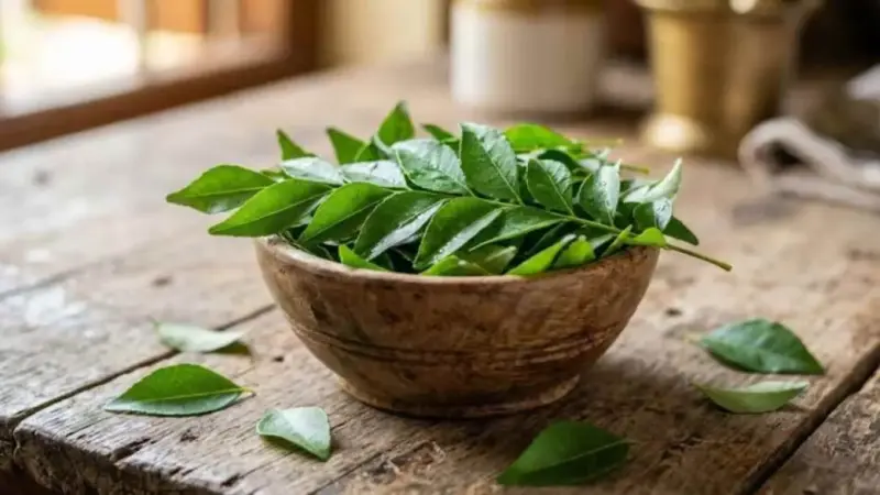 Curry Leaves: ब्लड शुगर कंट्रोल करने में मददगार है यह पत्ता! बॉडी करता है डिटॉक्स; 6 फायदे करेंगे हैरान