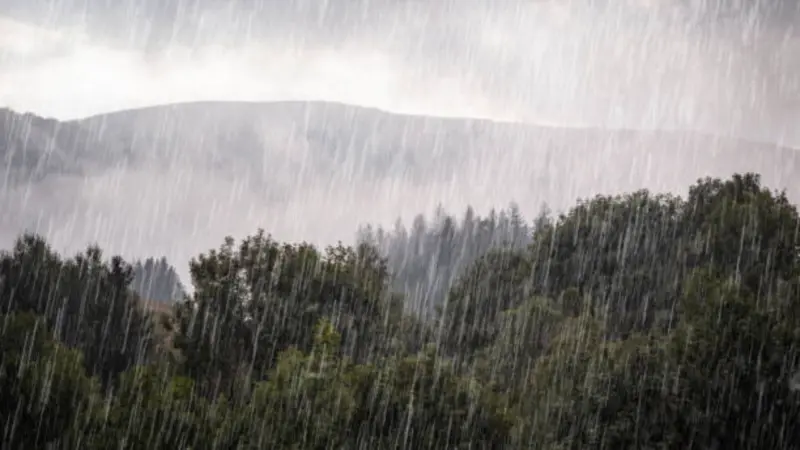 Weather Change from March 14: Rain, snowfall likely in hills; Thunderstorms in plains