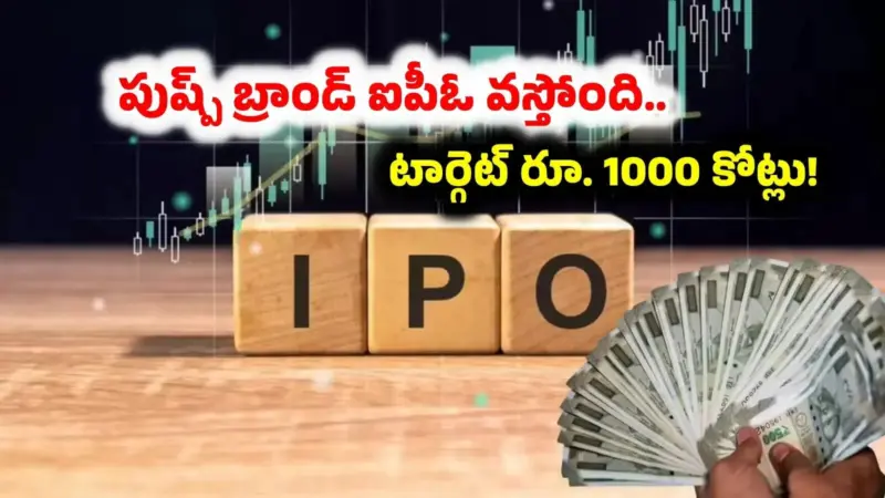 మార్కెట్లోకి ఎంట్రీ ఇస్తున్న 'పుష్ప్' బ్రాండ్ IPO.. టార్గెట్ రూ. 1000 కోట్లు.. 74 లక్షల షేర్లు విక్రయం!