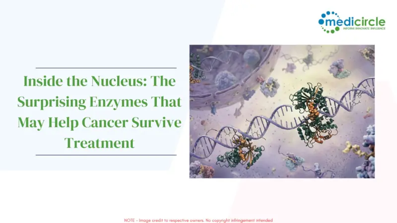 Inside the Nucleus: The Surprising Enzymes That May Help Cancer Survive Treatment