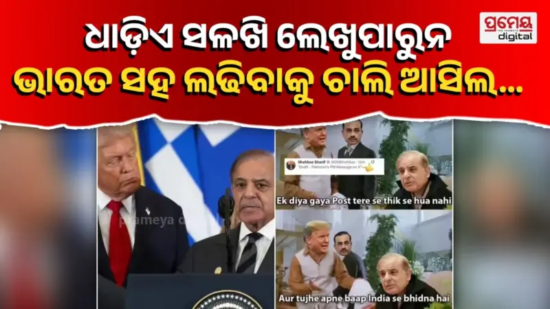 ଇରାନ-ଆମେରିକା ଯୁଦ୍ଧବିରତି ପରେ ପାକ୍ ପ୍ରଧାନମନ୍ତ୍ରୀଙ୍କୁ ଭୟଙ୍କର ଟ୍ରୋଲ୍, ଏକ୍ସ ପୋଷ୍ଟରୁ ହଟାଇବାକୁ ଭୁଲି ଯାଇଥିଲେ 'ଡ୍ରାଫ୍ଟ' ଶବ୍ଦ