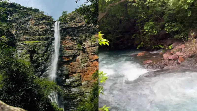 5 hours from Hyderabad lies the hidden 'Tiger's Pool'