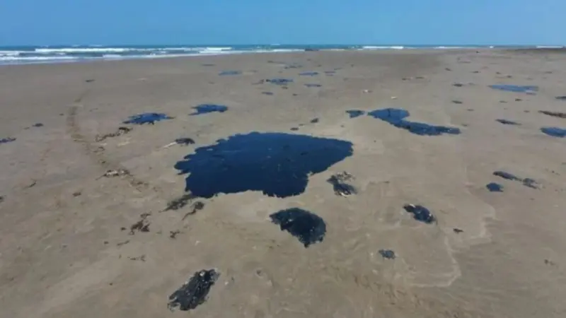 Gulf oil spill spreads widely, kills Wildlife, pollutes Meican reserves