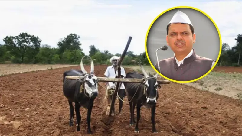 Farmers Loan Waiver: राज्यातील बळीराजाची चिंता वाढवणारी बातमी! 'या' कारणामुळे शेतकरी कर्जमाफीचा निर्णय लांबणीवर पडणार?
