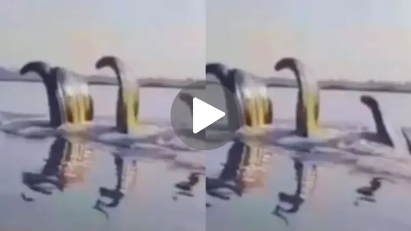 घोर कलयुग! यमुना नदी में लौट आया कालिया नाग? सोशल मीडिया पर मचा बवाल, जानें VIDEO की सच्चाई