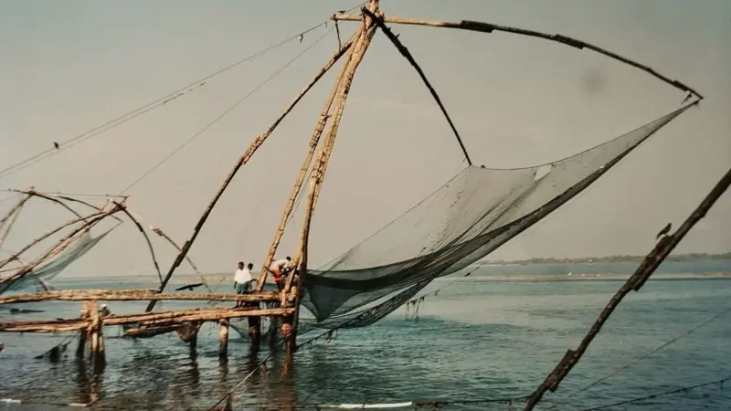 India's fishery sector loses $2.2 billion annually due to wastewater contamination: Study
