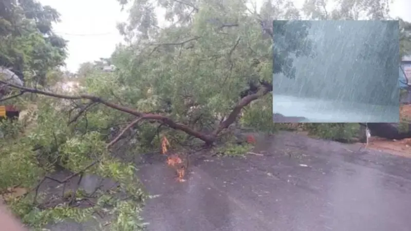 రాష్ట్రంలో ఈదురుగాలులతో భారీ వర్షం.. తడిసిన ధాన్యం, నేలకొరిగిన భారీ చెట్లు