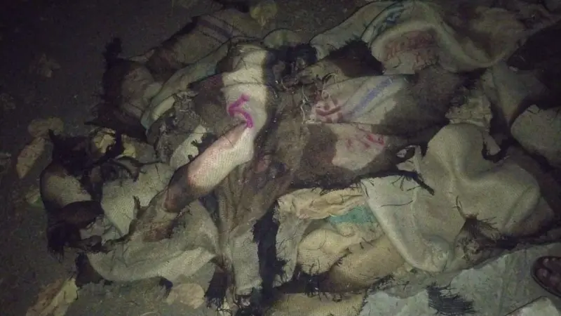 MP News: बड़वानी कृषि उपज मंडी में भीषण आग, 15-20 लाख का नुकसान, घटना के बाद व्यापारियों में भारी गुस्सा