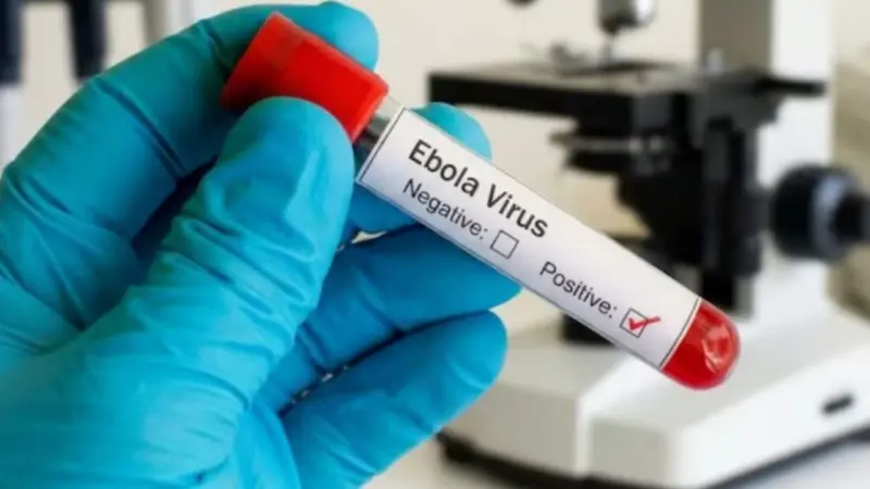 Ebola Virus: ఎబోలా వైరస్ వ్యాప్తి... భారతీయుల్లో ఆందోళన?  WHO ఏమంటుందంటే?