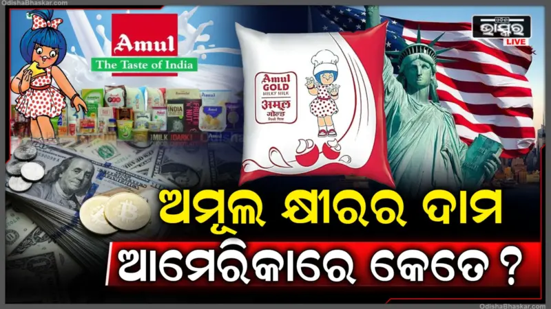 ଆମେରିକାରେ Amul କ୍ଷୀରର ଦାମ କେତେ? ୧ ଲିଟର ଦାମ ଶୁଣିଲେ ମୁଣ୍ଡ ଘୁରେଇବ!