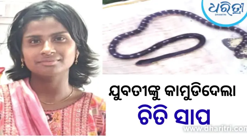 ପରିସ୍ରା ପାଇଁ ଯାଇଥିବା ବେଳେ ଯୁବତୀଙ୍କୁ କାମୁଡିଦେଲା ସାପ, ଚାଲିଗଲା ଜୀବନ