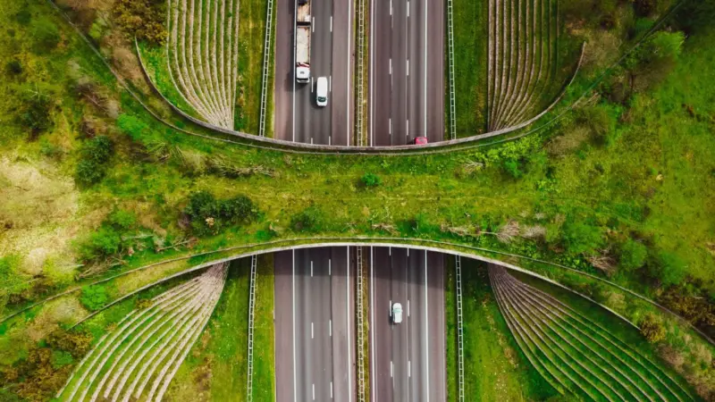 Greenfield Highway: ഗ്രീൻഫീല്ഡ് ഹൈവേ പദ്ധതി അനിശ്ചിതത്വത്തില്; പുനരുജ്ജീവിപ്പിക്കണമെന്ന ആവശ്യം ശക്തം