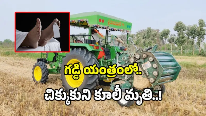 గడ్డి యంత్రంలో చిక్కుకుని కూలీ మృతి..!