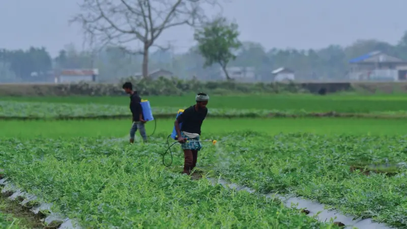 Iran conflict disrupts fertilizer supplies, triggering food crisis in Asia