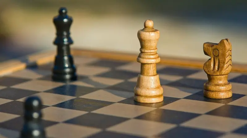From Classical to freestyle, the many chess variants
