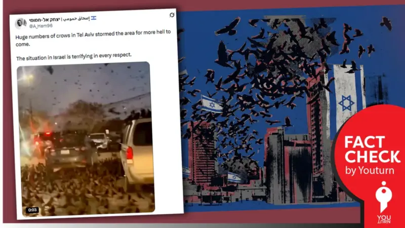 Did Hundreds of Crows Really Descend on Tel Aviv Amid West Asia War?