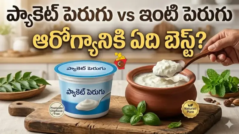 ప్యాకెట్ పెరుగు vs ఇంట్లో తోడుపెట్టిన పెరుగు.. రెండింటిలో ఆరోగ్యానికి ఏది బెస్ట్?