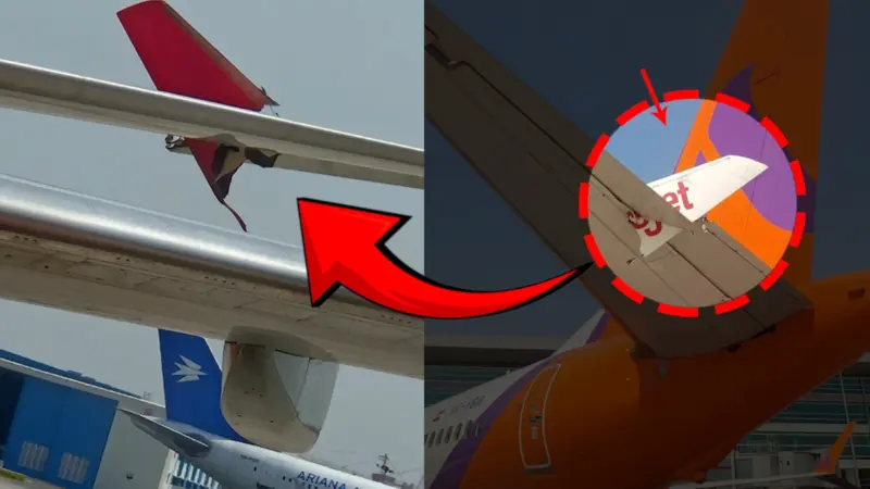 Delhi airport ground collision: SpiceJet jet hits parked Akasa aircraft, probe ordered