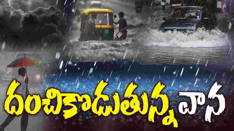 ఏపీలో 5 జిల్లాల్లో దంచికొడుతున్న వర్షం!