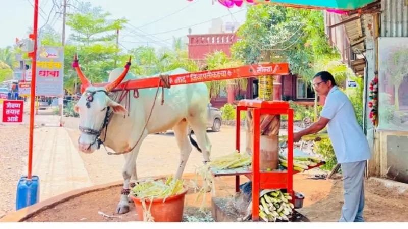 Kolhapur News | शिये-बावडा रोडवर घुमतोय लाकडी रसवंतीच्या घुंगरांचा आवाज!