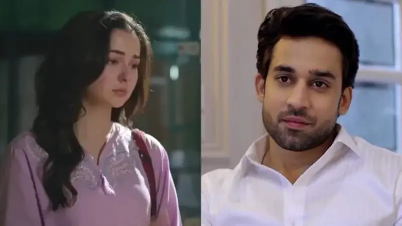 Meri Zindagi Hai Tu likely to end next week; new episode details