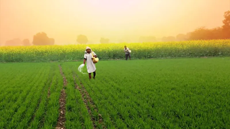 Telangana's tenant farmers and society's duty!