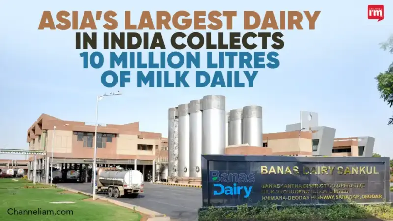 Asia's Largest Dairy