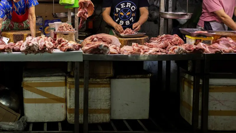 Bengaluru South Corporation collaborates with NGO on animal waste management plan