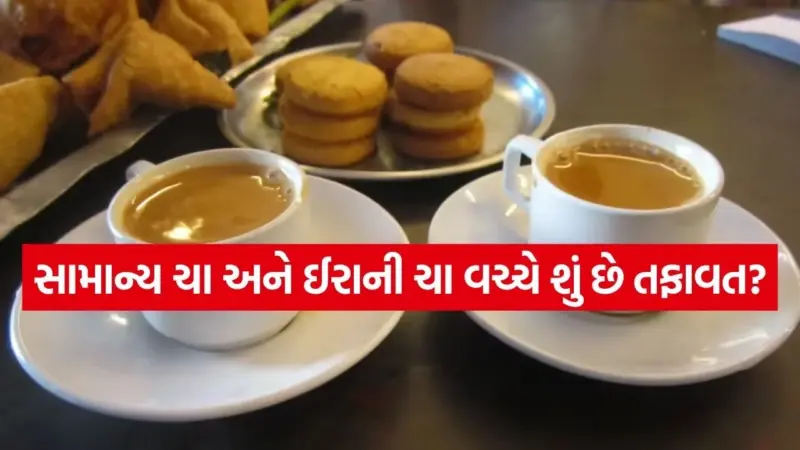 ગળાની ખરાશ હોય કે માનસિક થાક, ઈરાની ચાનો એક કપ કરી દેશે ફ્રેશ, નોંધી લો સ્ટેપ-બાય-સ્ટેપ રેસીપી.