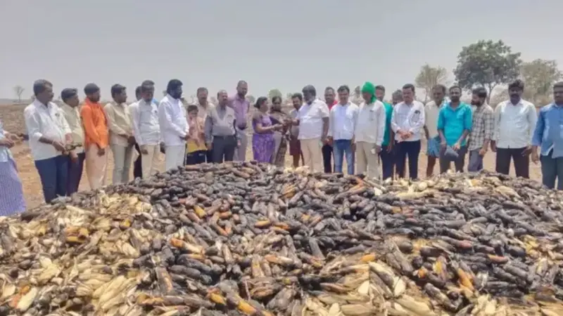 అన్నదాత వేదన.. గుండెలను పిండేసే దృశ్యం వైరల్