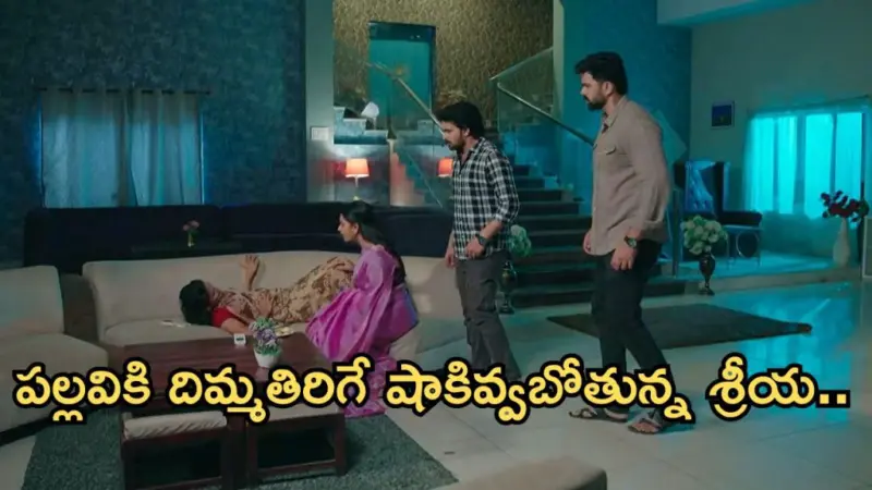 Intinti Ramayanam Today Episode: రాజేశ్వరి ప్లానేంటి..? శ్రీయకు నొప్పులు.. పల్లవికి దిమ్మతిరిగే షాక్..
