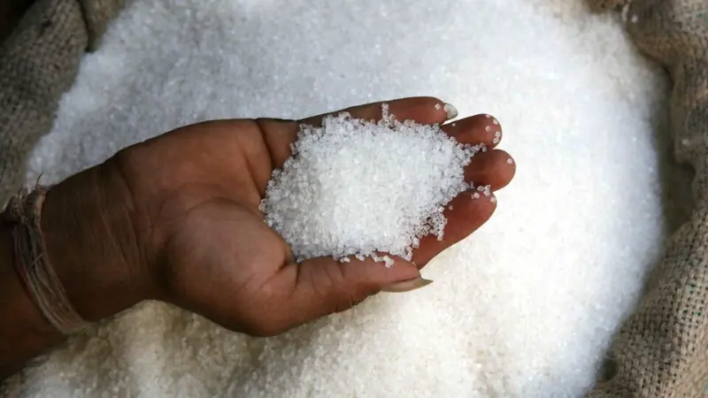 Balrampur Chini, Shree Renuka to Dalmia Bharat: Sugar stocks in focus as India bans sugar exports