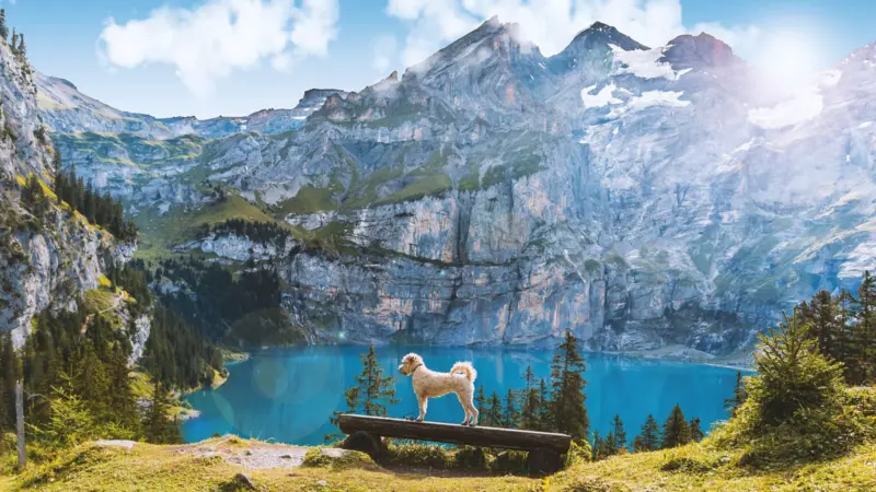 Switzerland's alpine lakes: The country's best-kept secret