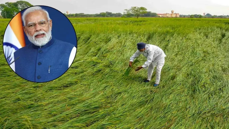 తెలంగాణలో ఫసల్ బీమా యోజన అమలు