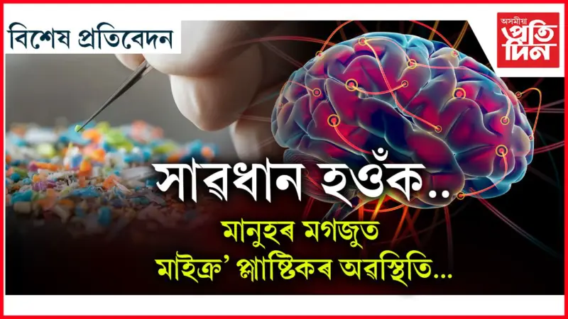 মাইক্ৰ'প্লাষ্টিক হ'ব পাৰে এলঝেইমাৰ, ডিমেনচিয়া,কৰ্কট ৰোগৰ কাৰণ...