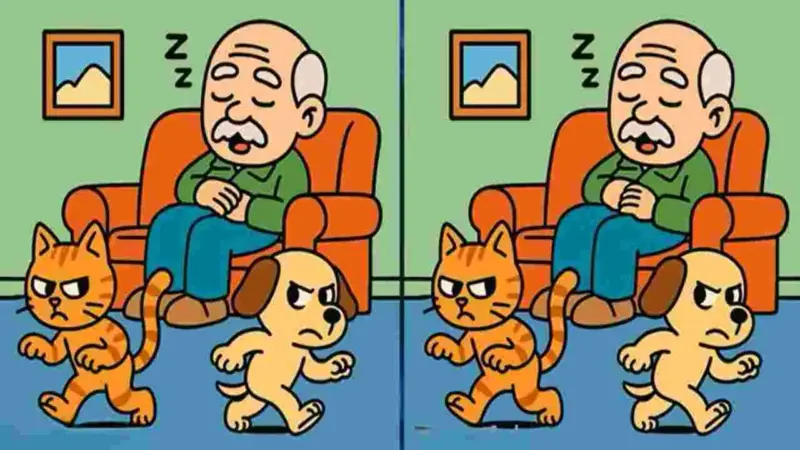 మీ కళ్లను పరీక్షించుకోండి.. ఈ ఫొటోల్లోని మూడు తేడాలను 19 సెకెన్లలో కనిపెట్టండి