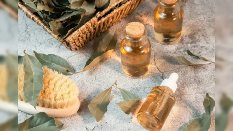DIY Camphor Hair Oil: A Simple Summer Remedy for Itchy Scalp, Dandruff and Hair Fall