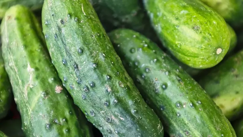 Is it right to eat cucumber after peeling it or not, know the opinion of experts