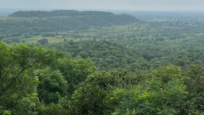 Telangana rolls out luxury eco-tourism camp at Ananthagiri Hills