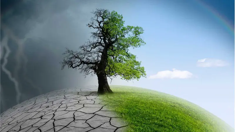 காலநிலை மாற்றத்தின் உண்மைக் காரணங்கள் மற்றும் அதிர்ச்சி விளைவுகள்!