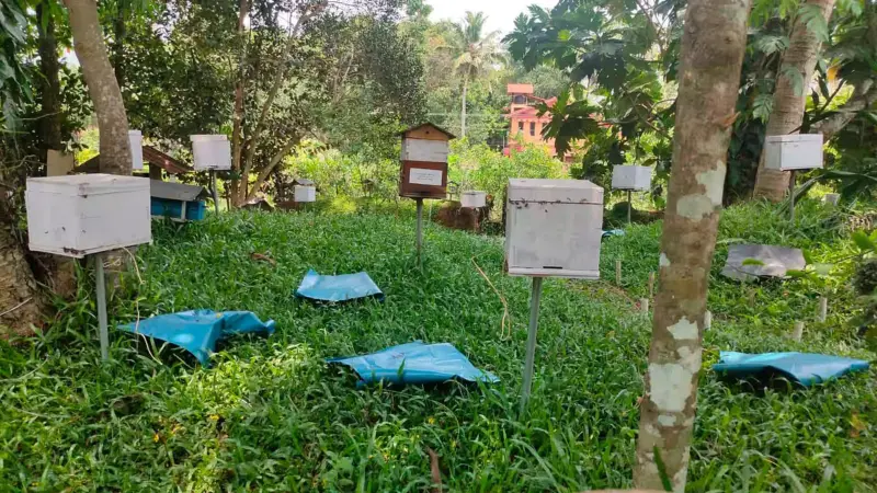 Beekeeping and Agarwood cultivation training centre inaugurated at Bamunjuli