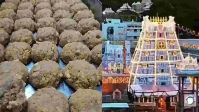 కల్తీ నెయ్యి కారకులపై కఠిన చర్యలు