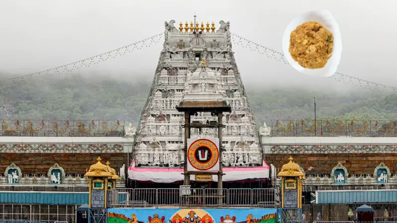 Tirumala laddu ghee adulteration: Committee flags nexus of administrative failures, procedural violations